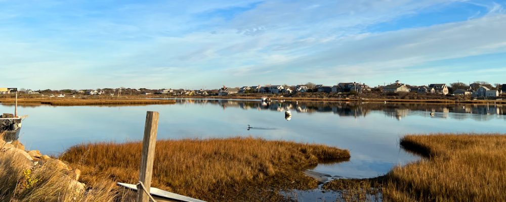 Nantucket Land & Water Council Seeks Development Director