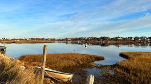 Nantucket Land & Water Council Seeks Development Director