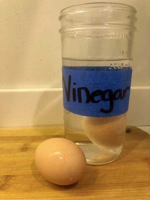 Cup of vinegar with an egg.