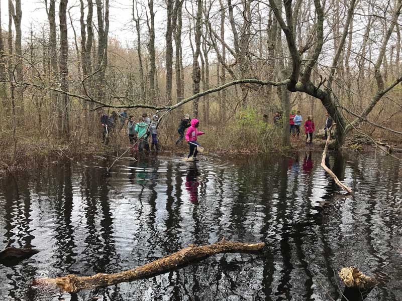 A group of people walking through a vernal pool in the woods