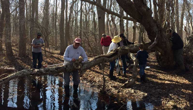 A group of people gathered around a fallen tree and vernal pool in the woods