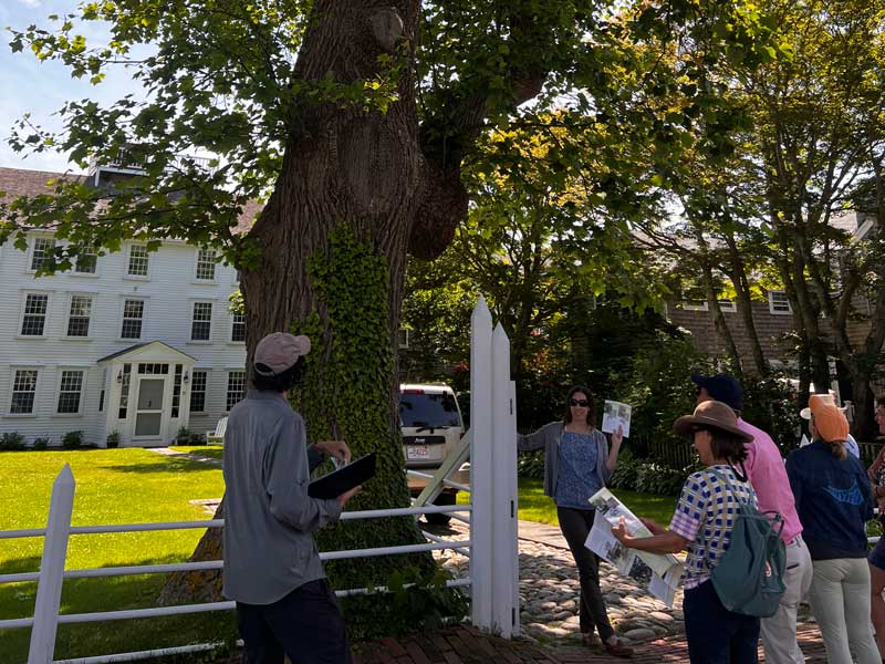 A group of individuals gathered around a tree in front of a house.